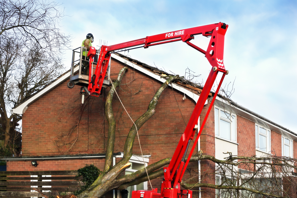 Tree,Surgeon,Working,Up,Cherry,Picker,Repairing,Storm,Damaged,Roof