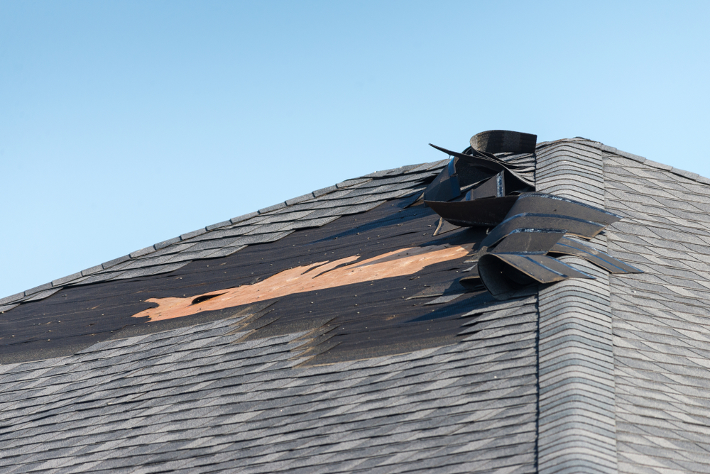 What to Do After Your Roof Suffers Storm Damage, Royal Crown Roofing, Conroe, TX