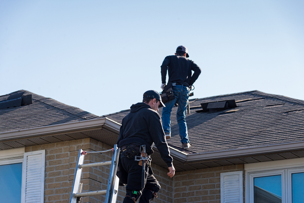 Roof Maintenance: DIY vs. Hiring a Professional