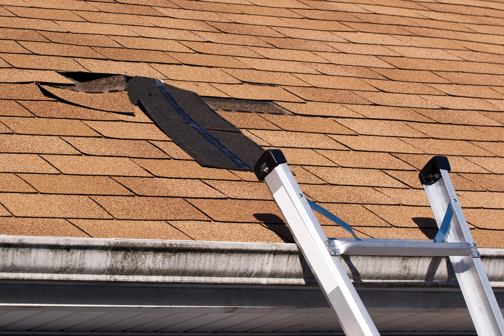 How to Block Roof Leaks While You Wait for Repairs