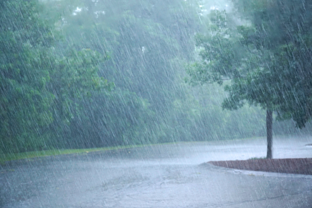 Outdoor rain shop