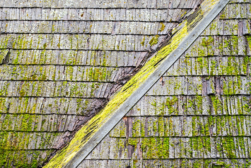 Roof Cleaning Solutions: How Often Should You Clean Your Conroe Roof?