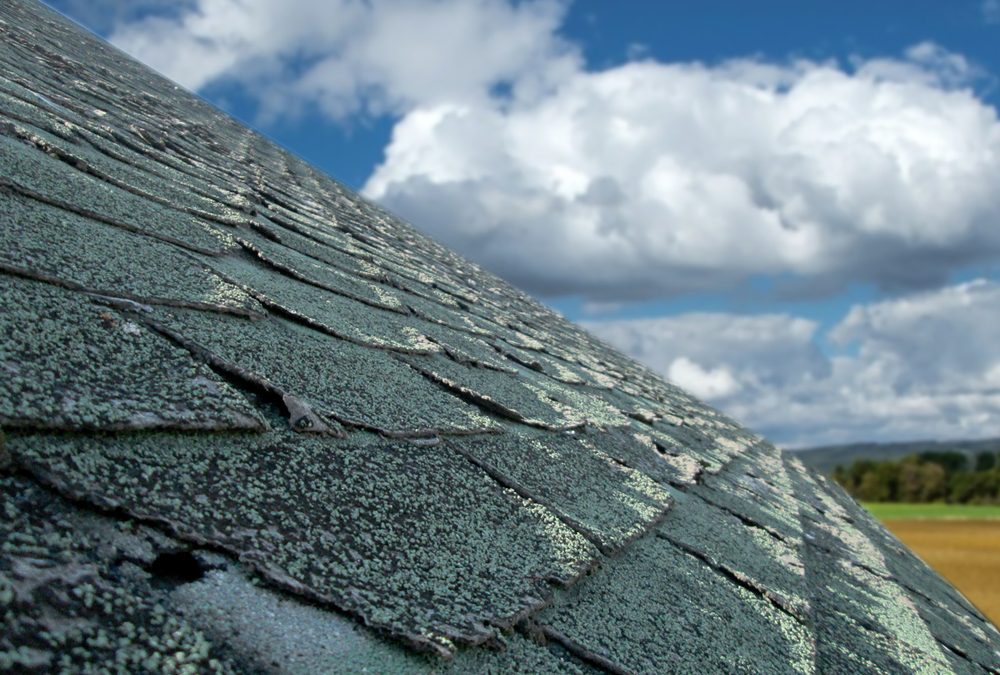 The Telltale Signs You Need a New Roof, Royal Crown Roofing, Spring, TX