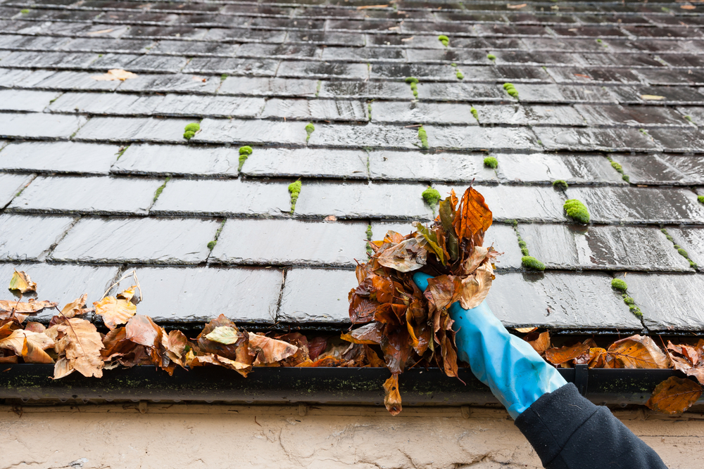 Roof Cleaning Service Near Me Greensboro Nc