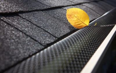 Clearing out the gutters is an essential part of regular roof maintenance! You’ll be glad you did!