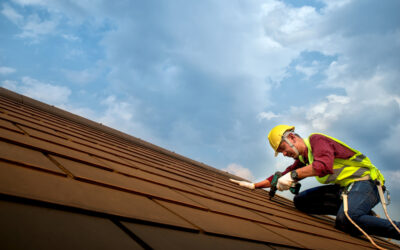 Is your roof under attack?! Regular maintenance can target pests that are out to get your roof before it’s too late!
