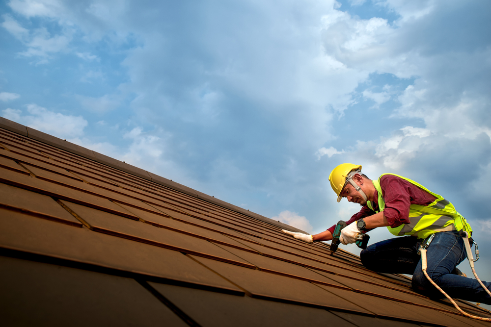 Is your roof under attack?! Regular maintenance can target pests that are out to get your roof before it’s too late!