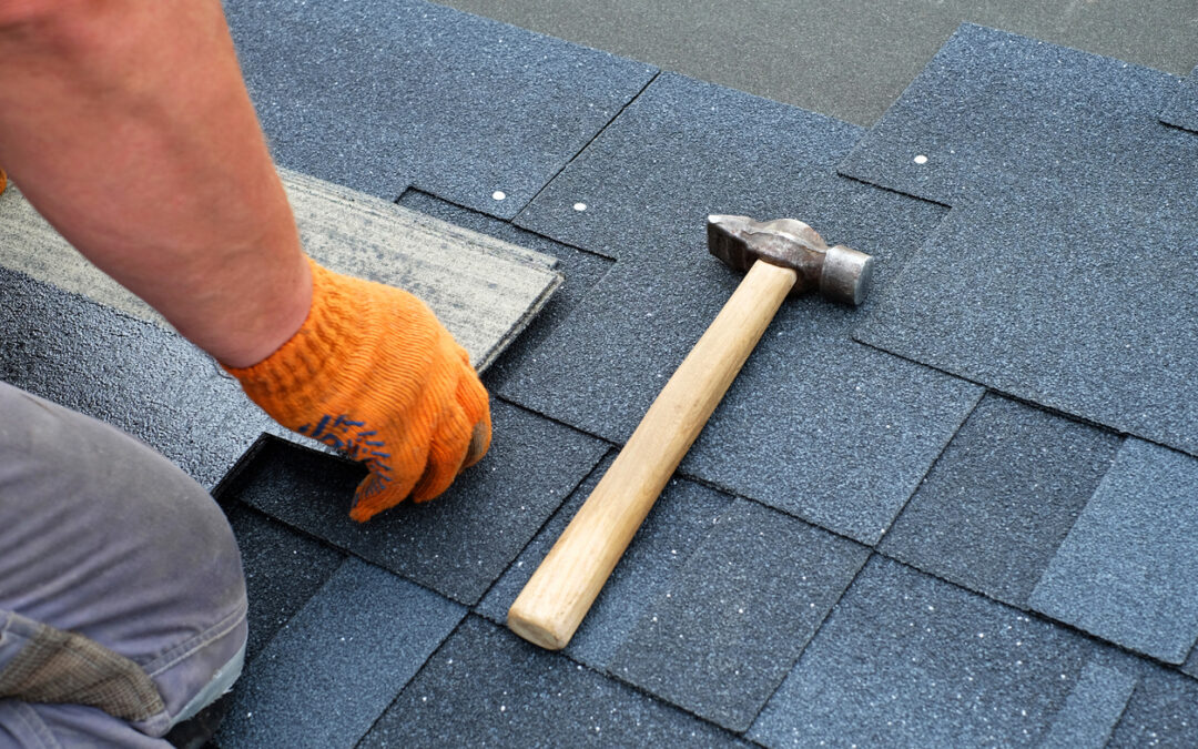 So, you need a new roof and can’t decide which kind.