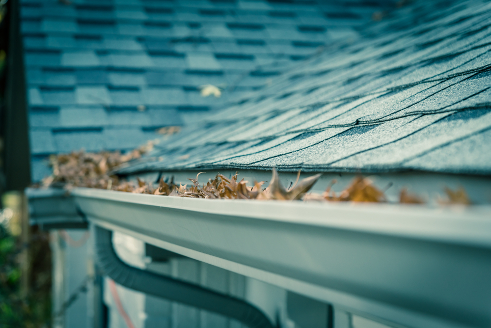 Gutters do more than look pretty as they line our roofs, or do they?