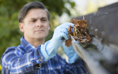 Are your gutters in doing their job?