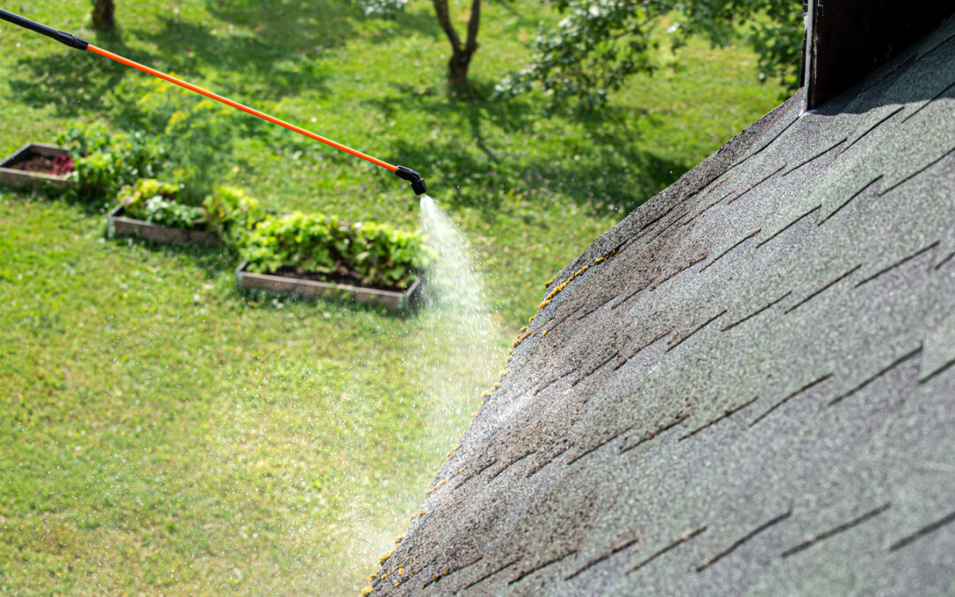 So, why clean your roof? Doesn’t it rain enough in Houston to do the job?