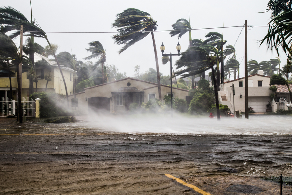 What do you do when a severe storm blows in off the gulf this summer into our Houston area and destroys your roof?