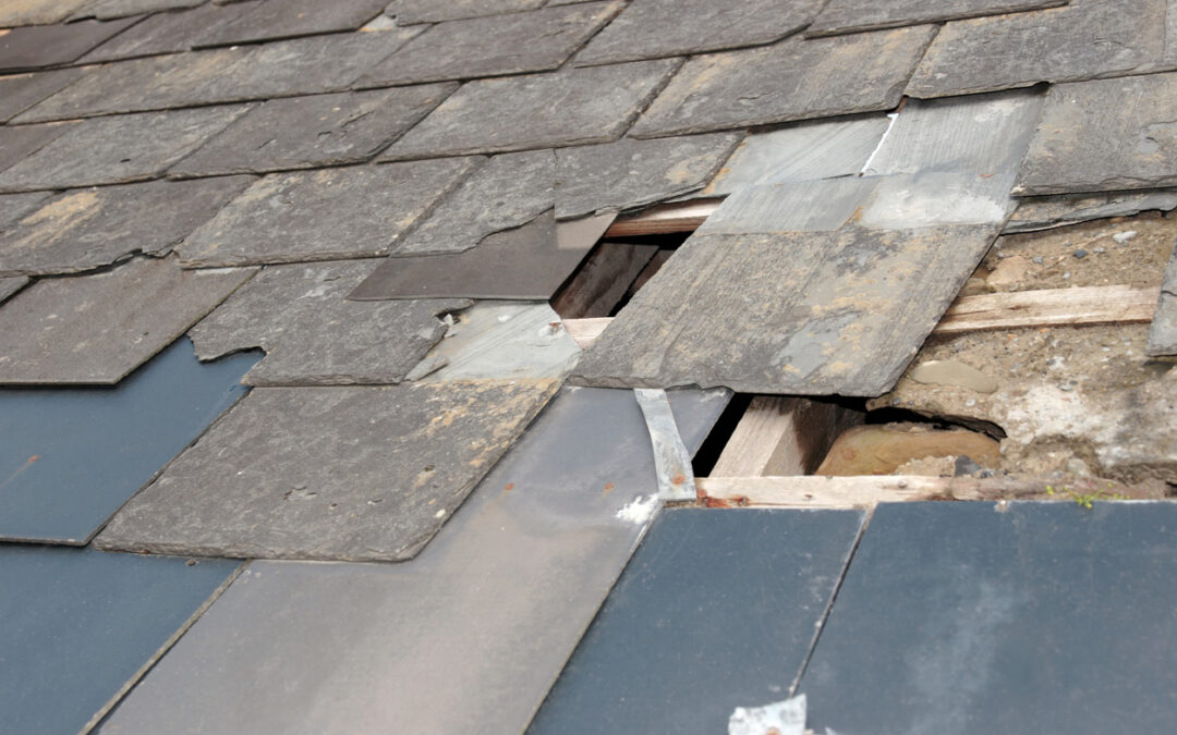 Do you have holes in your roof?