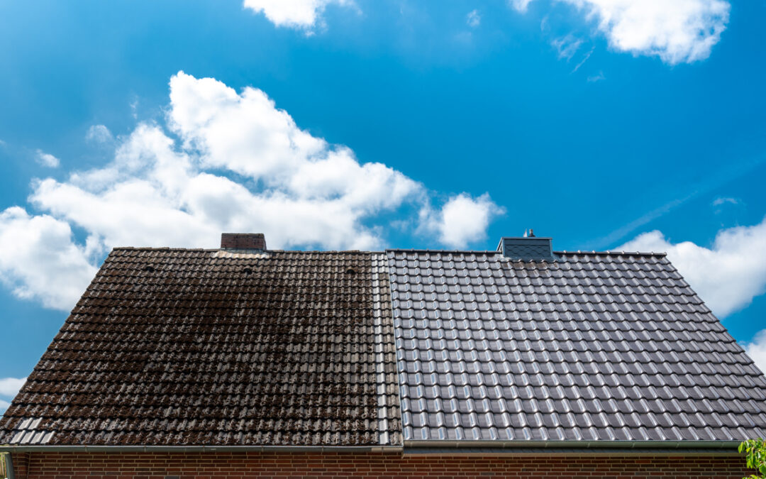 Have you noticed what’s growing on your roof lately?