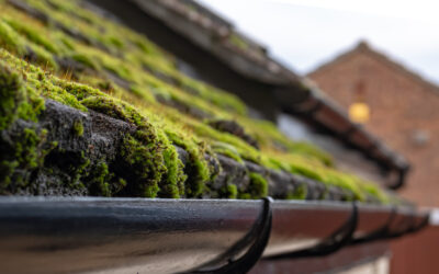 How do you safely remove moss from your roof?