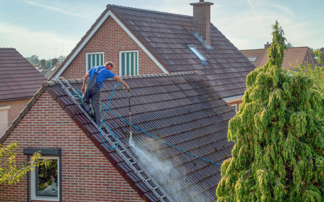 Crowning Your Home with a Good Roof Cleaning Saves on Your Energy Bills
