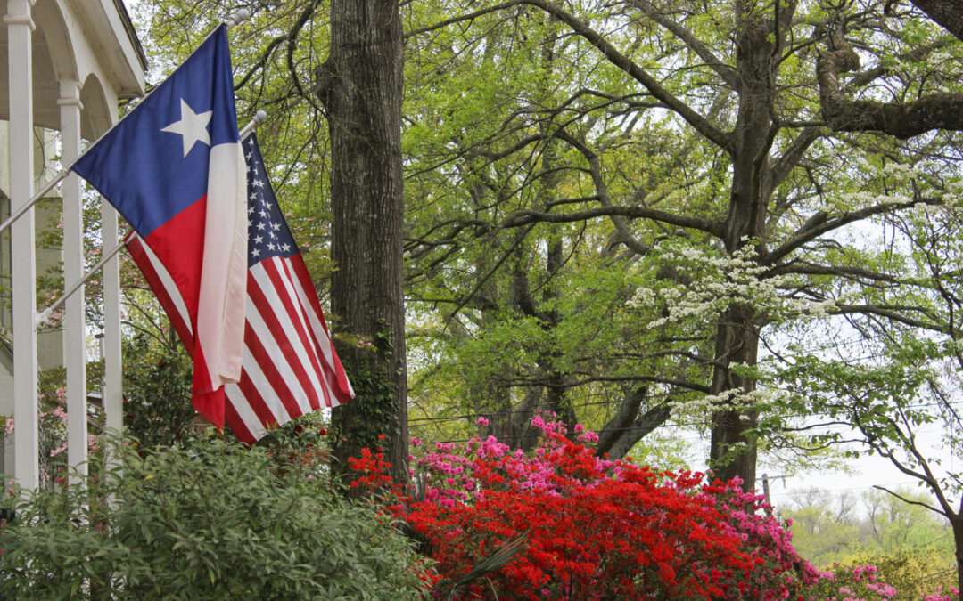 Texas Rooftops: A Tale of Two Cities